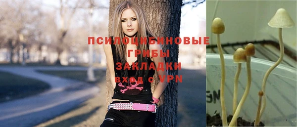 кристаллы Белокуриха