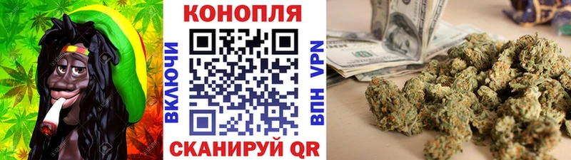 Бошки Шишки THC 21%  Купить закладки  Нерюнгри 